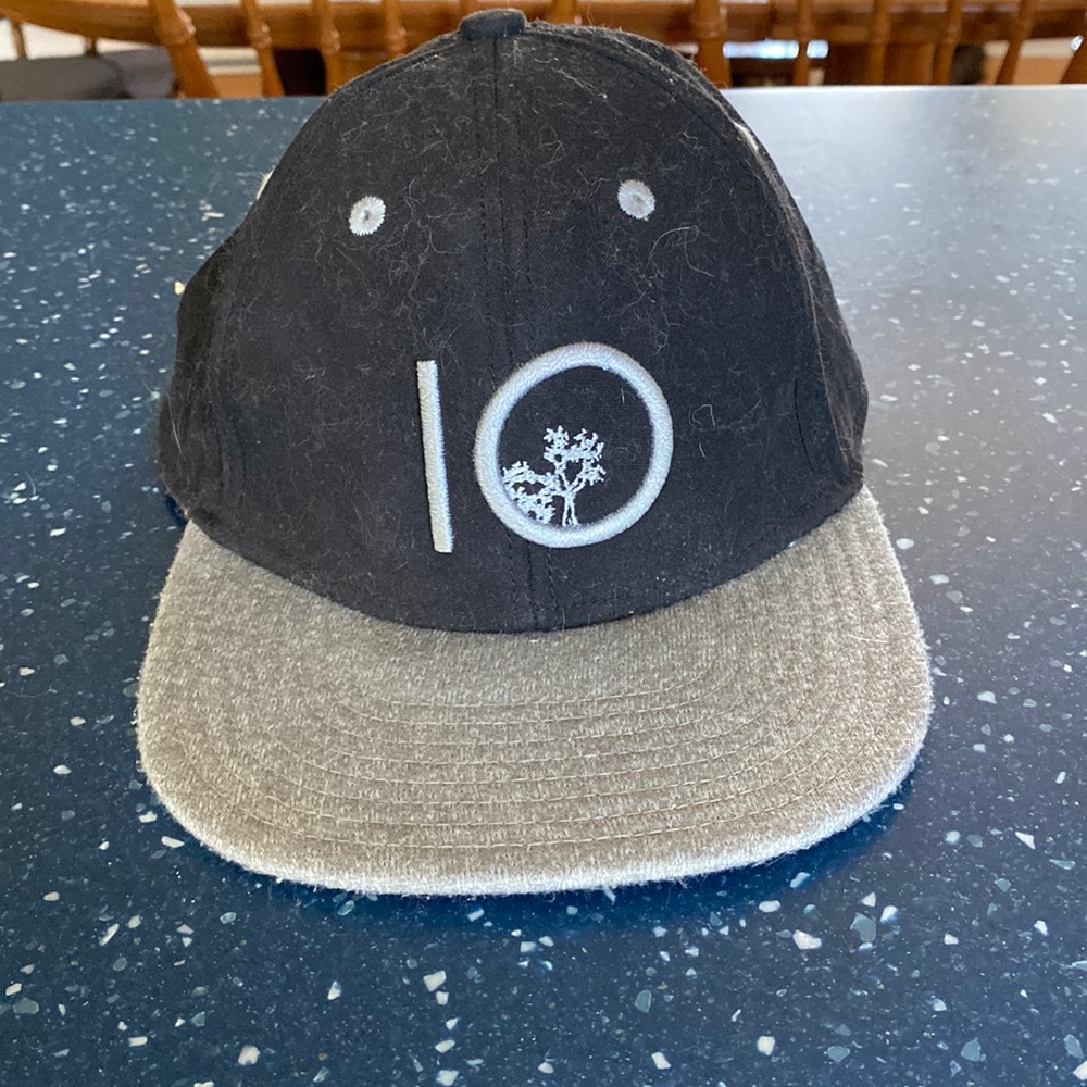 10 tree ball cap
